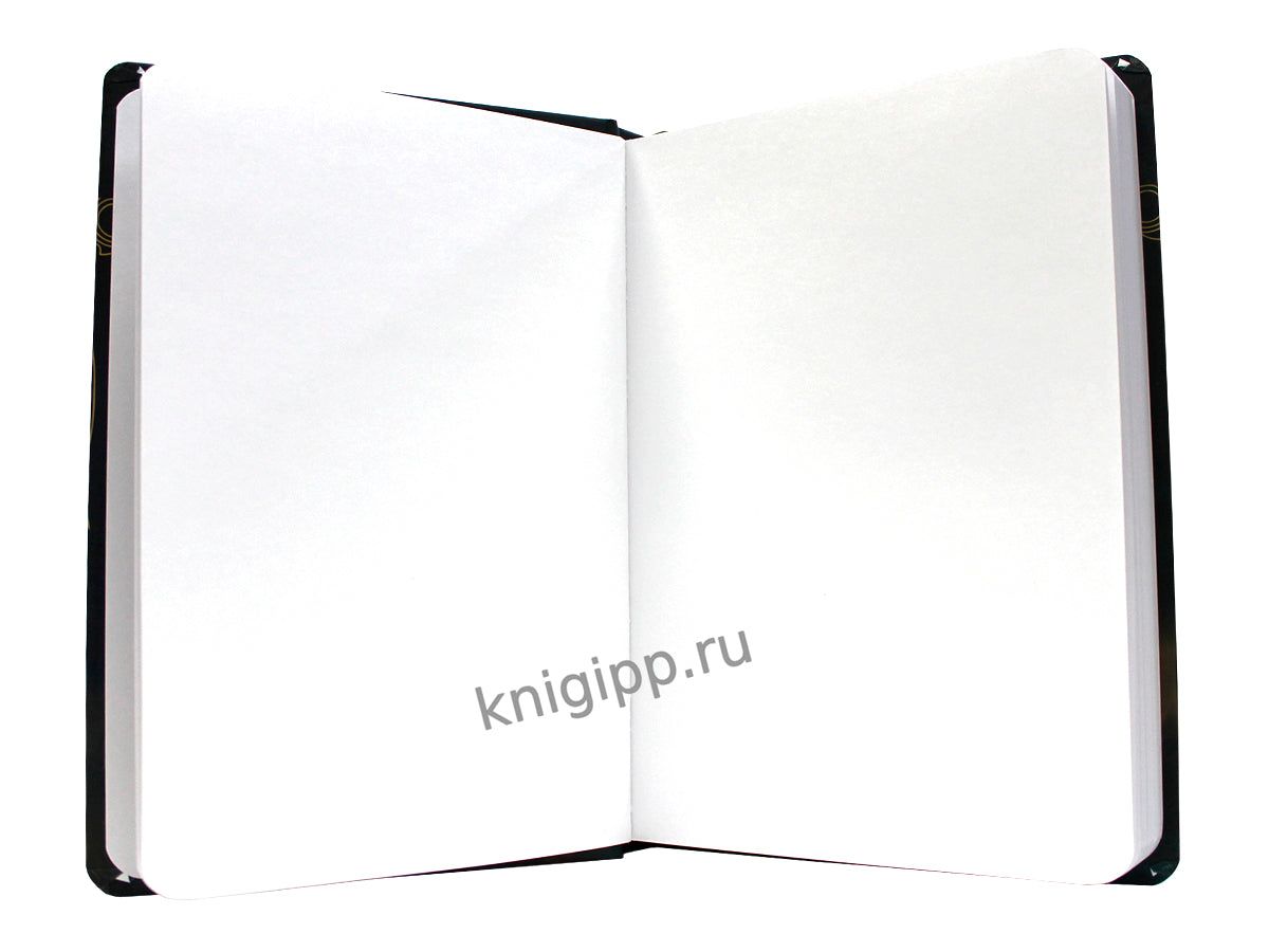 MyArt. СКЕТЧБУК "ЗНАКИ ЗОДИАКА" БЛИЗНЕЦЫ