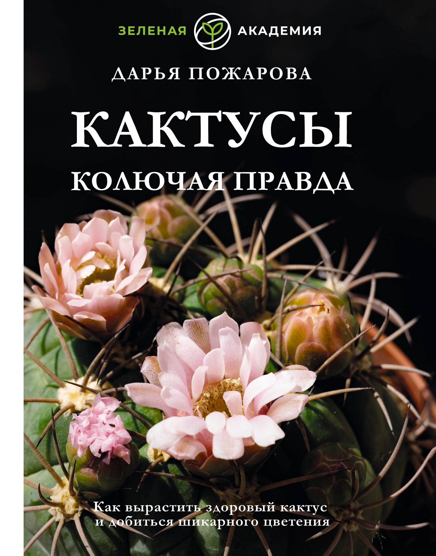 Кактусы. Колючая правда