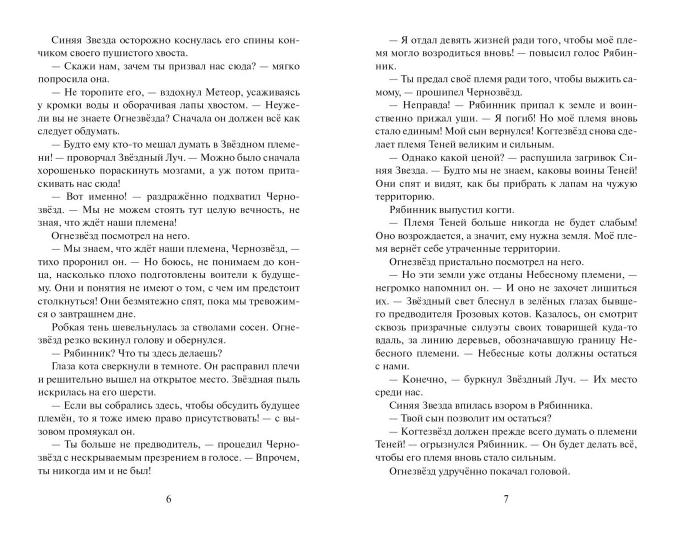 Коты-воители. Цикл "Видение теней". Неистовая буря