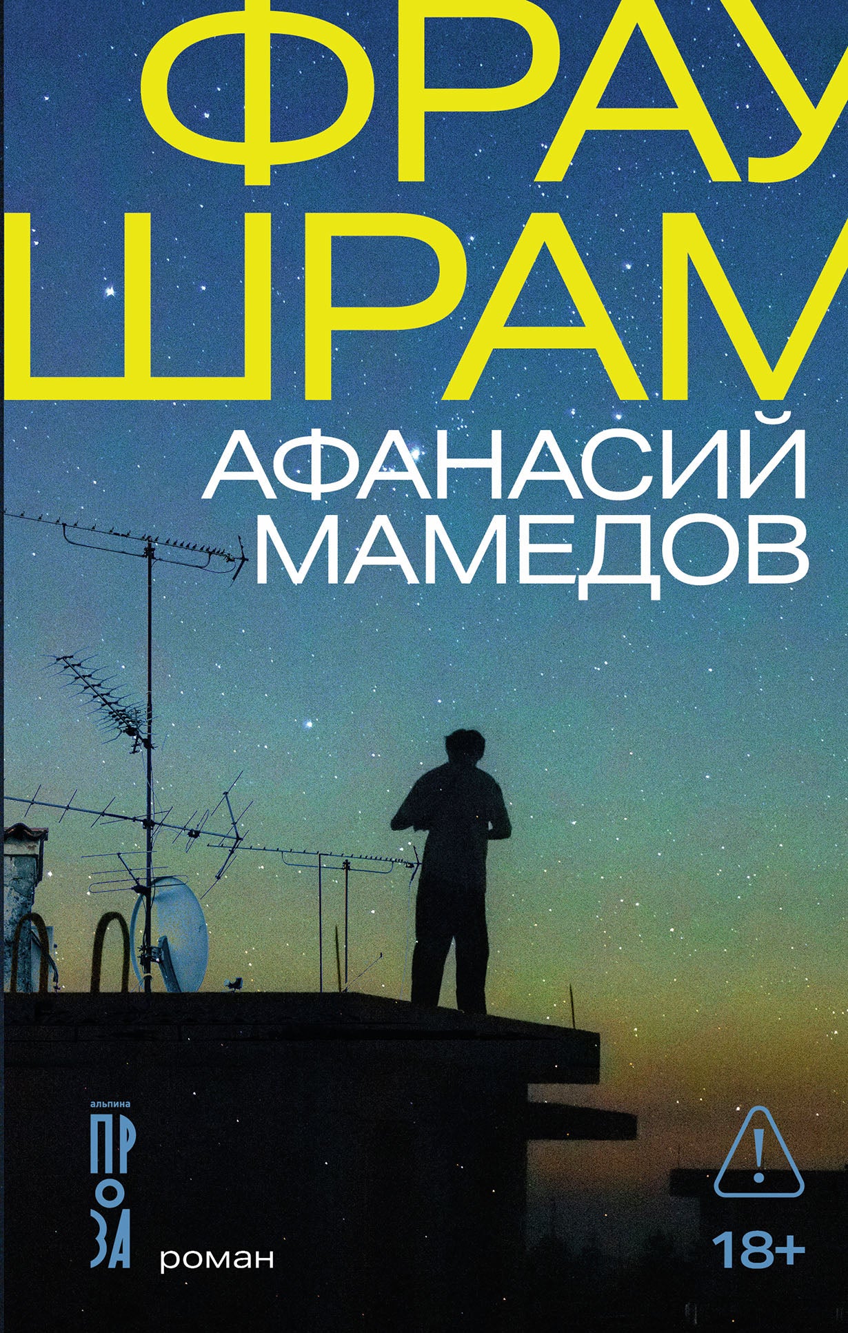 Фрау Шрам: роман