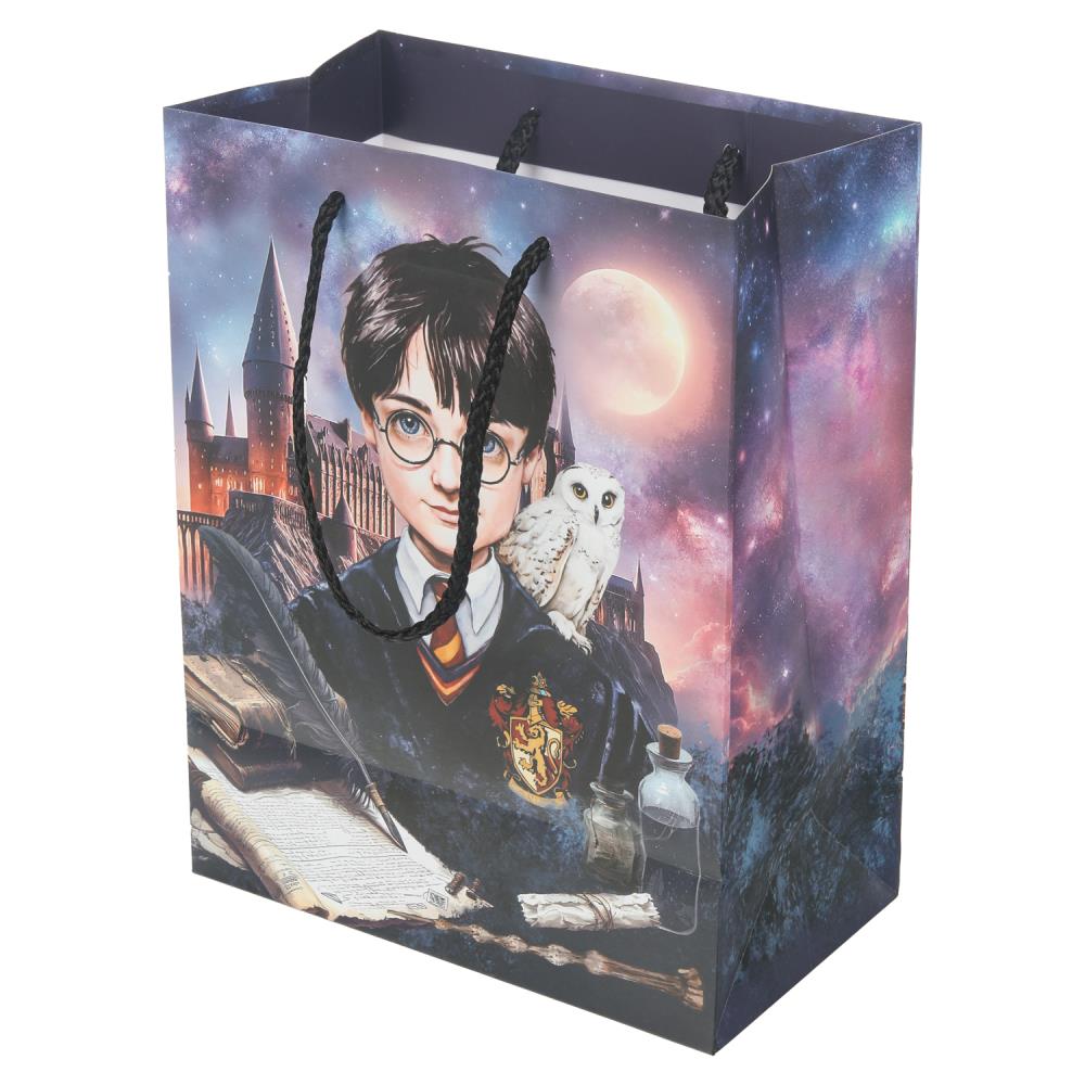 Пакет подарочный МАТОВЫЙ м,школа волшебства,140 гр/м2 ЧУДО ПРАЗДНИК в кор.12*12шт