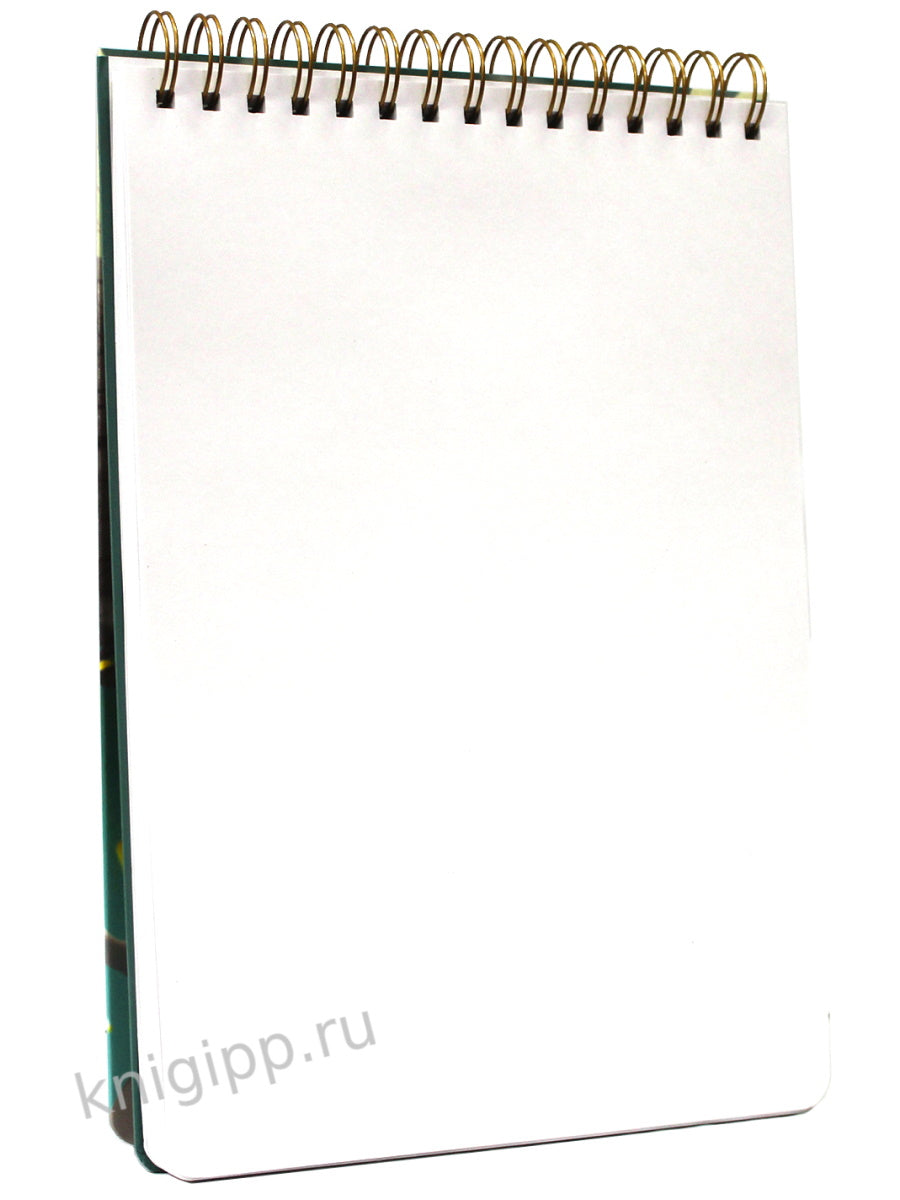 MyArt. СКЕТЧБУК А4 на гребне. АНИМЕ. АНГЕЛ ГРЕЗ