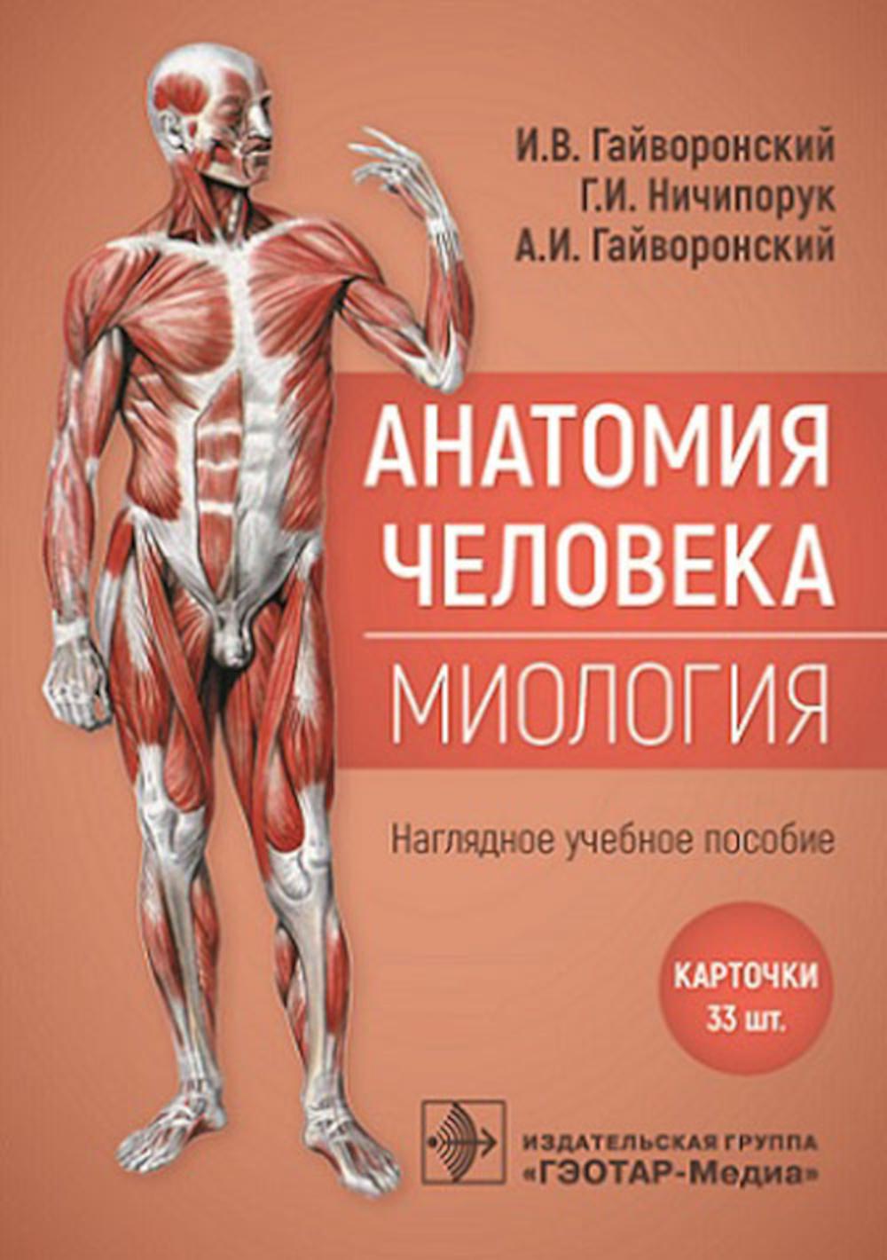 Анатомия человека. Миология. Карточки : наглядное учеб ное пособие / И. В. Гайворонский, Г. И. Ничипорук, А. И. Гайворонский. — Москва : ГЭОТАР-Медиа, 2023. — 33 двустор. карт. : ил.