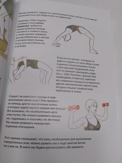 Анатомия йоги: как работают мышцы