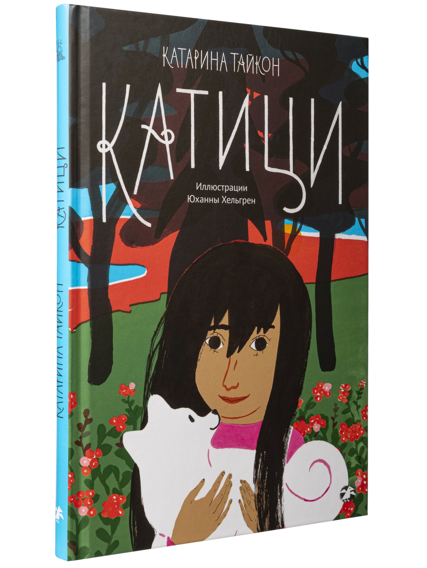 Катици