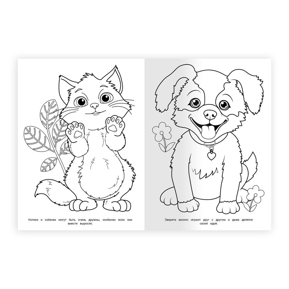 Верные друзья. Раскраска. 214х290 мм. Скрепка. 16 стр. Умка в кор.50шт