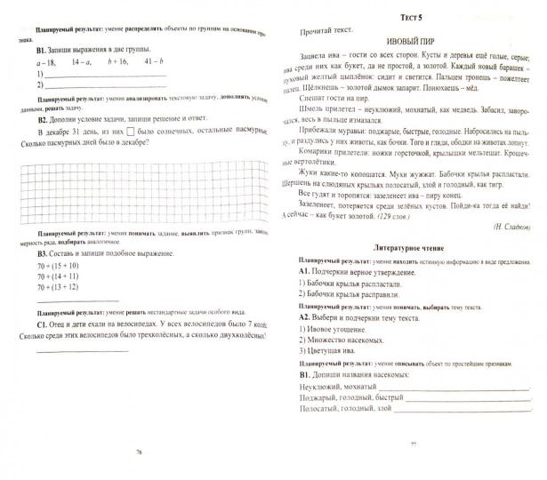 Комплексные итоговые работы 2 класс
