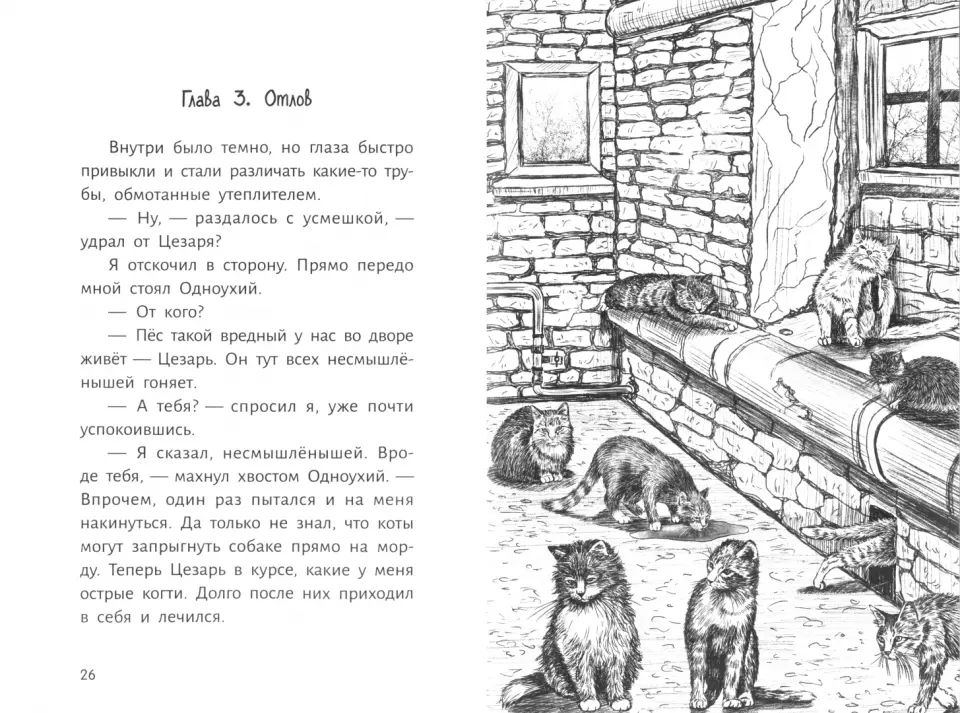 Когда наступит завтра