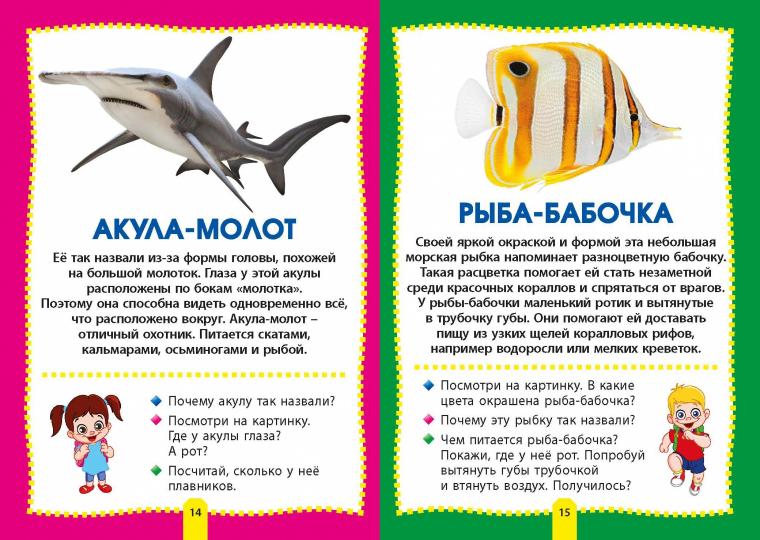 Морские обитатели. Фотокнига для самых маленьких