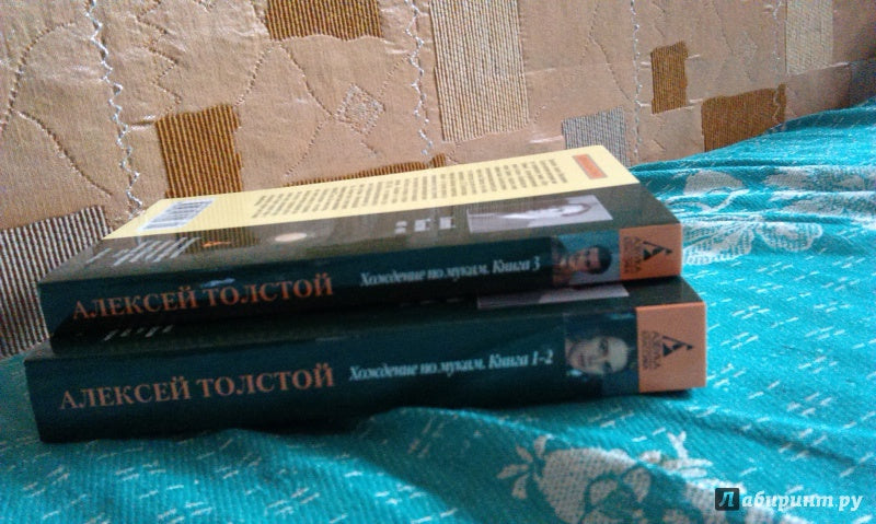 Хождение по мукам (в 2-х книгах) (комплект)