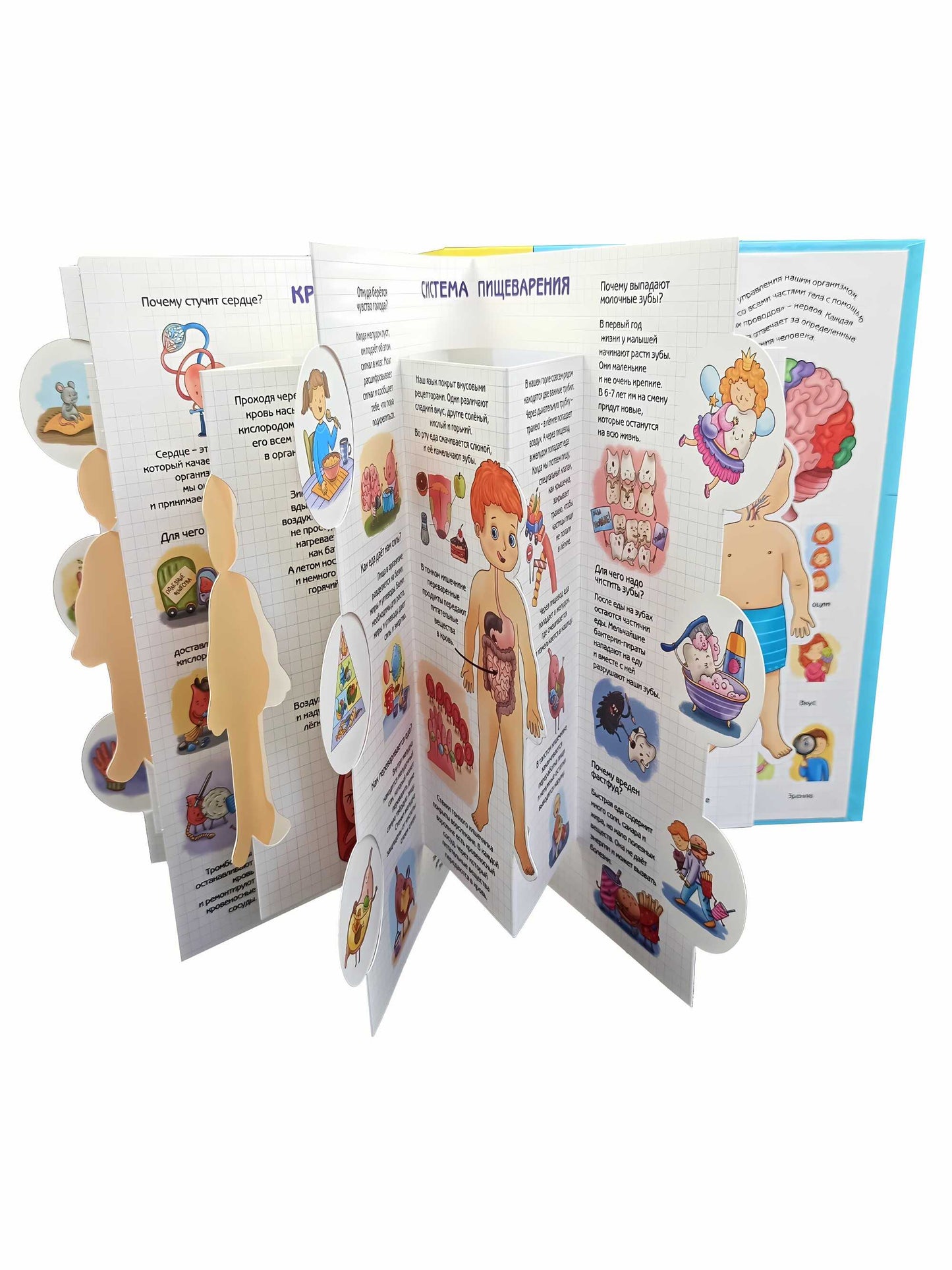 Энциклопедия 3Д СЕКРЕТЫ ЧЕЛОВЕКА твёрдый