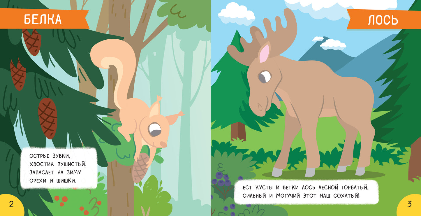 Лес: мини-энциклопедия для крохи