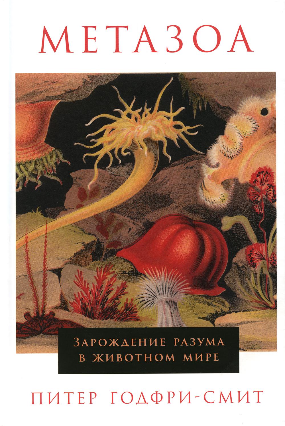АлП.Метазоа:Зарождение разума в животном мире