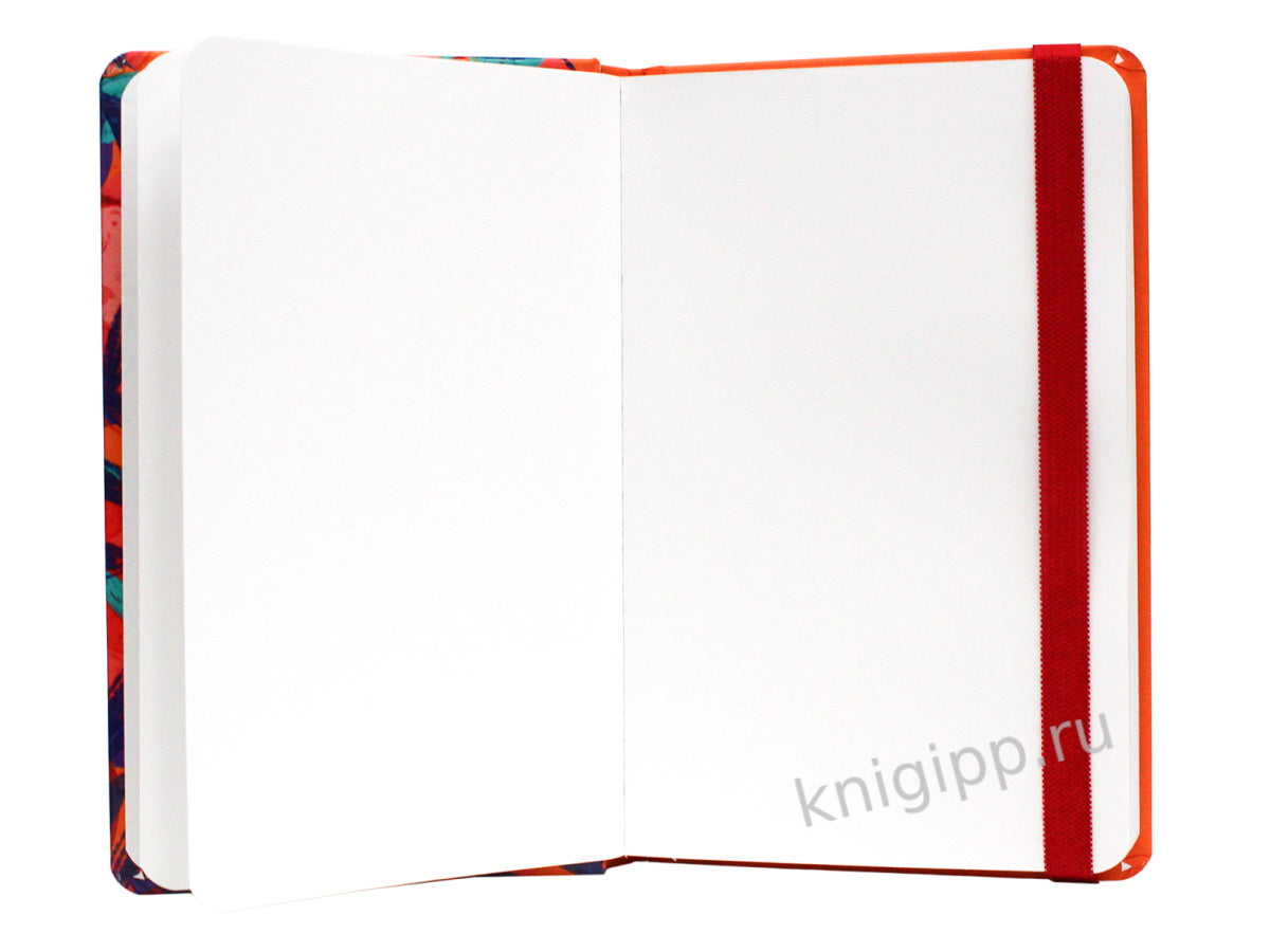 MyArt. Maxi Pocket СКЕТЧБУК. Яблоки