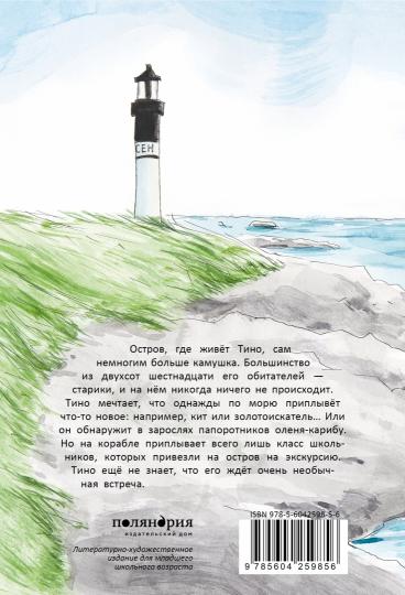 П.Камушек в кармане