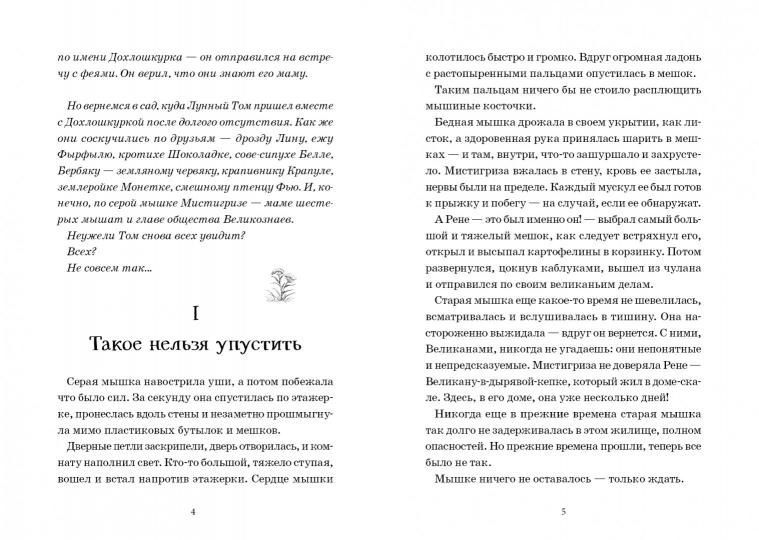 Лунный Том и замок Эльфиния. Книга 3