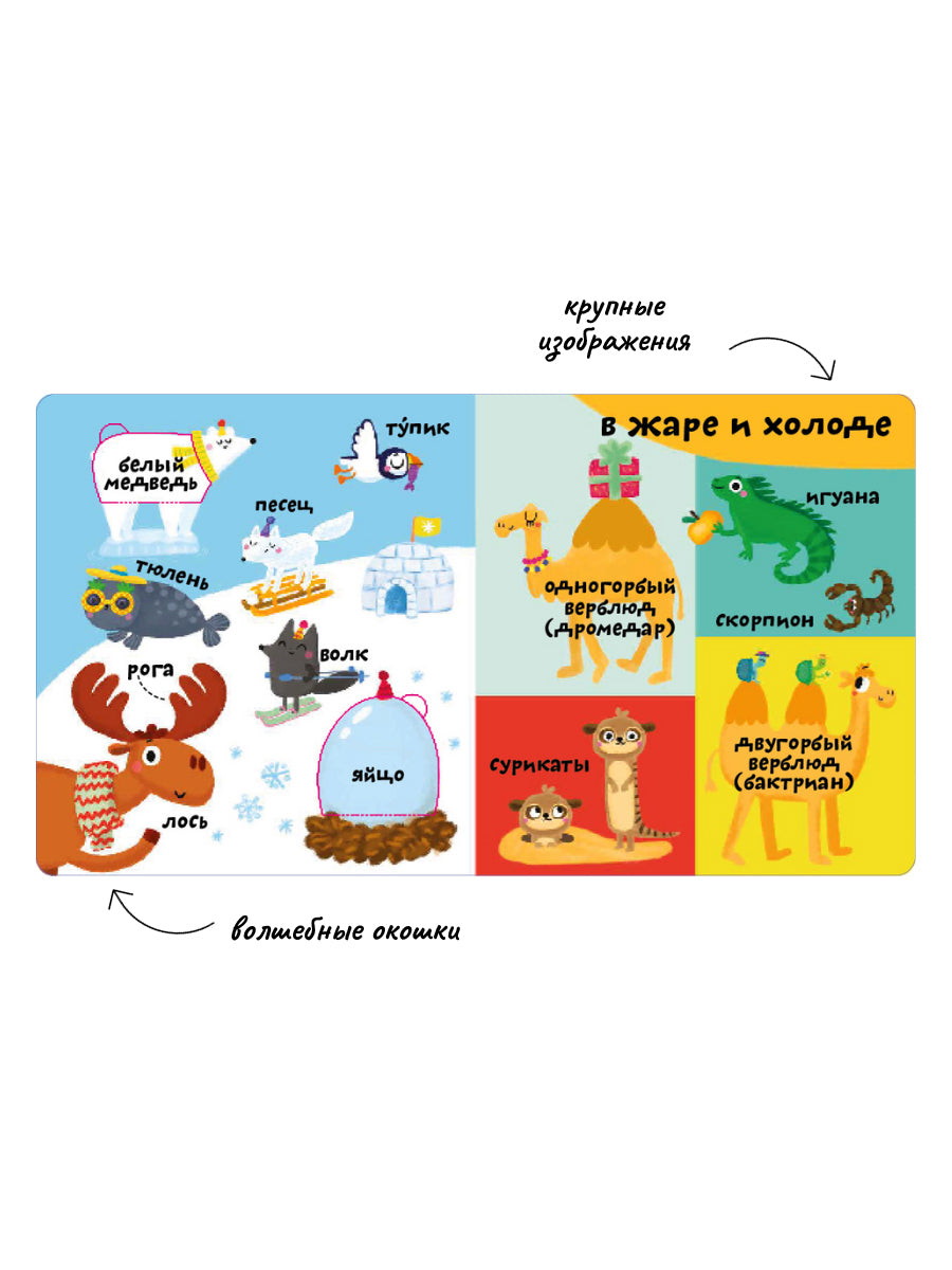 Мои первые 100 слов с большими окошками. Такие разные животные