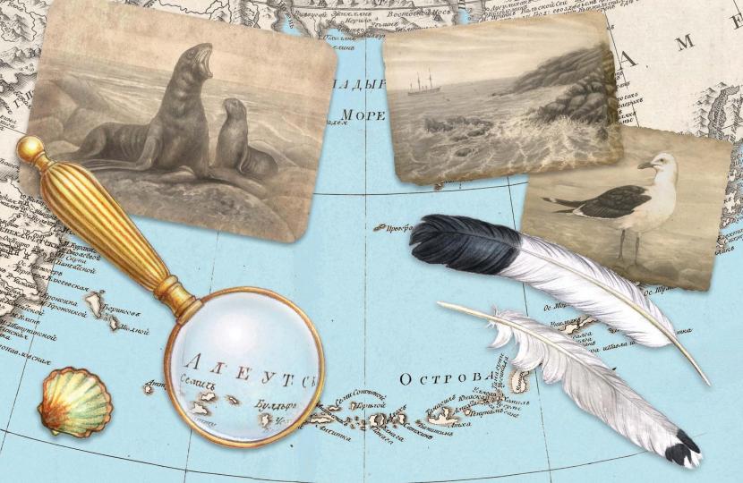 Белый котик