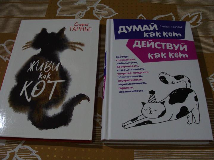 Думай как кот, действуй как кот