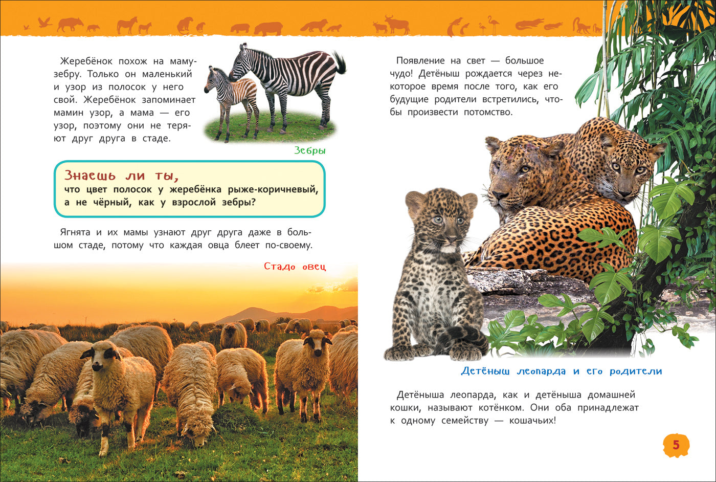 Детеныши животные (Энциклопедия для детского сада)