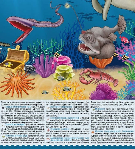 Морские животные. Цифры и факты.Настольное издание