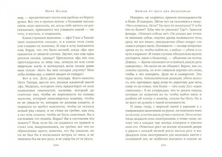 Вышли из леса две медведицы