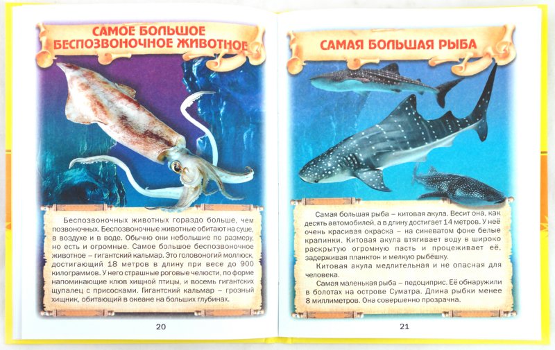 Атлас чудес для дошколят. (Учись, малыш!).