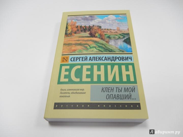 Клен ты мой опавший...