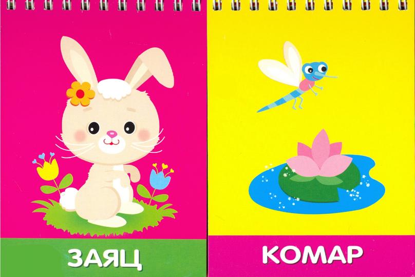 Кто что ест (20+20 карточек)