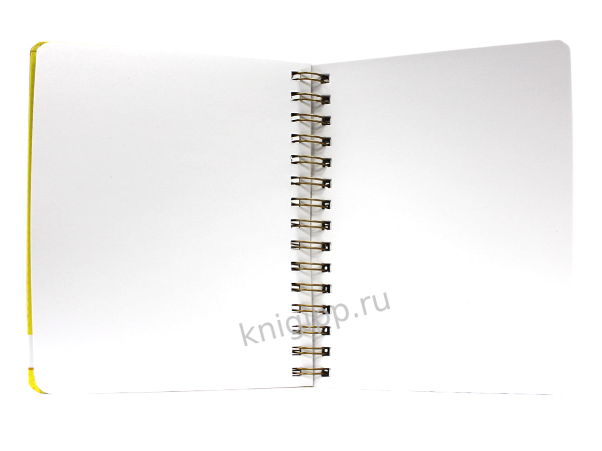 MyArt. АНИМЕ СКЕТЧБУК на гребне. Жизнь в гаджетах