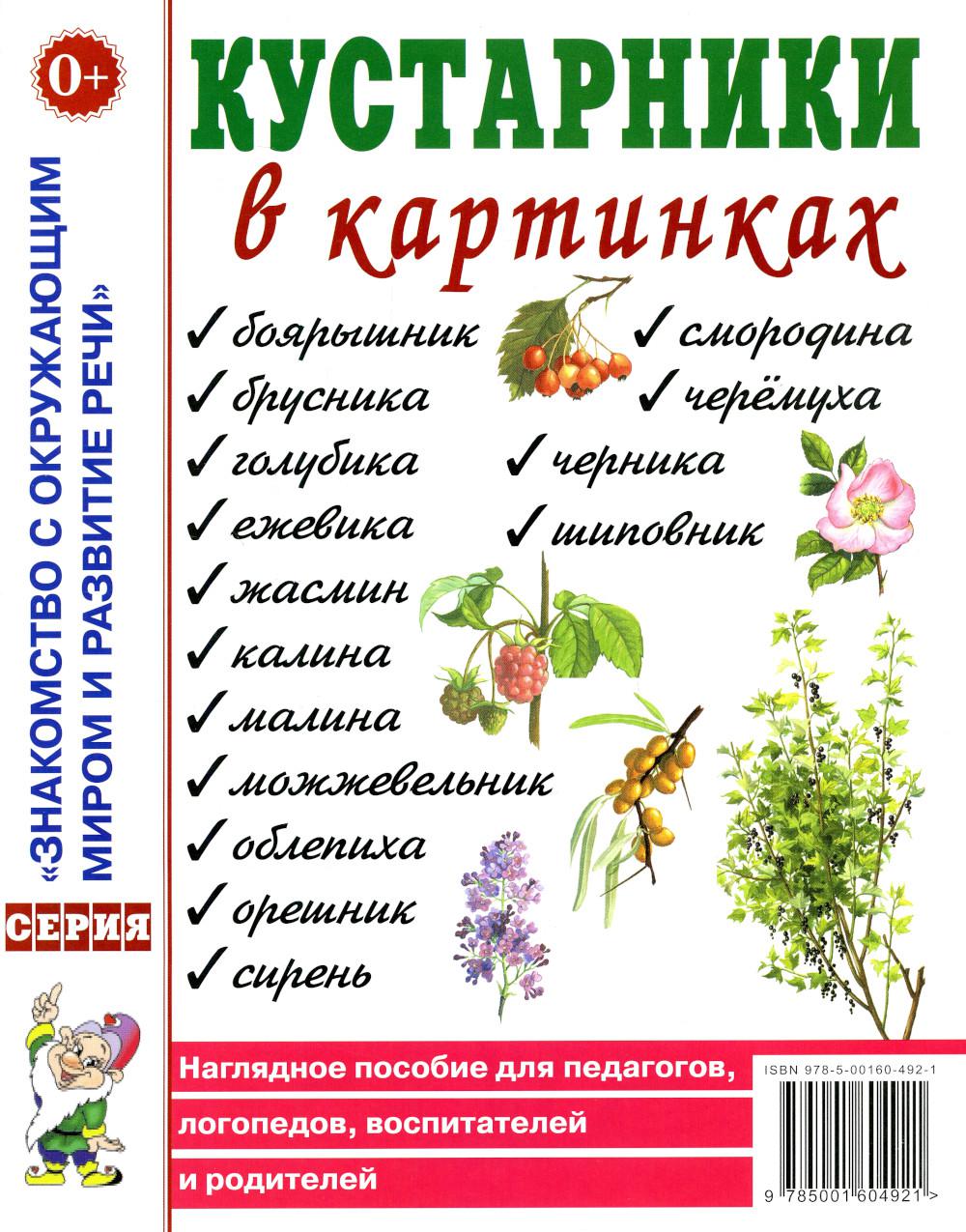 Кустарники в картинках. Наглядное пособие для педагогов, логопедов, воспитателей и родителей. А4