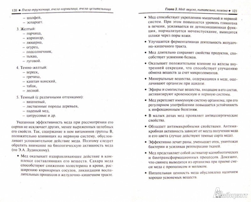 Пчела-труженица,пчела-кормилица,пчела-целительница