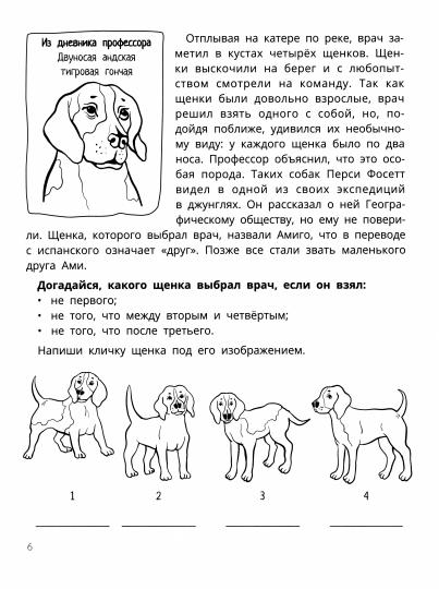 Развитие мышления и внимания у младших школьников