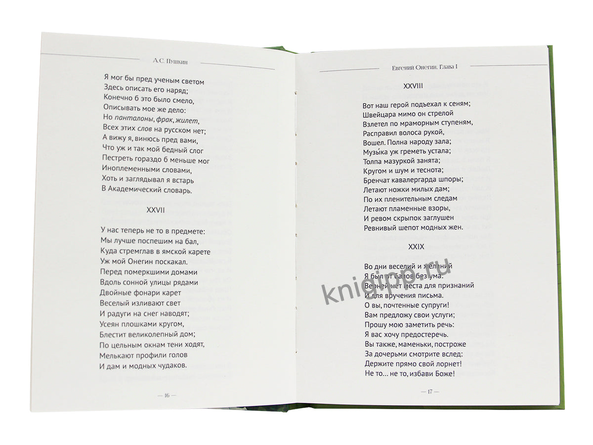 МИРОВАЯ КЛАССИКА. Александр Пушкин. Евгений Онегин 240 стр