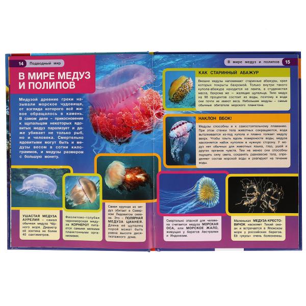 «УМКА». ПОДВОДНЫЙ МИР. ЭНЦИКЛОПЕДИЯ А4 С РАЗВИВАЮЩИМИ ЗАДАНИЯМИ. 197Х255ММ, 48 СТР. в кор15шт