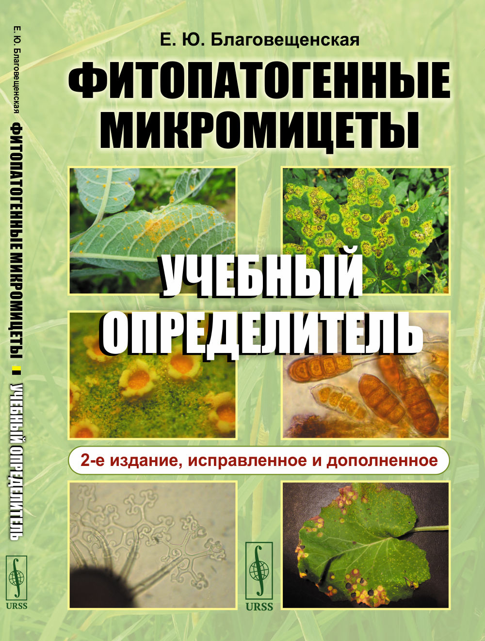 Фитопатогенные микромицеты: Учебный определитель