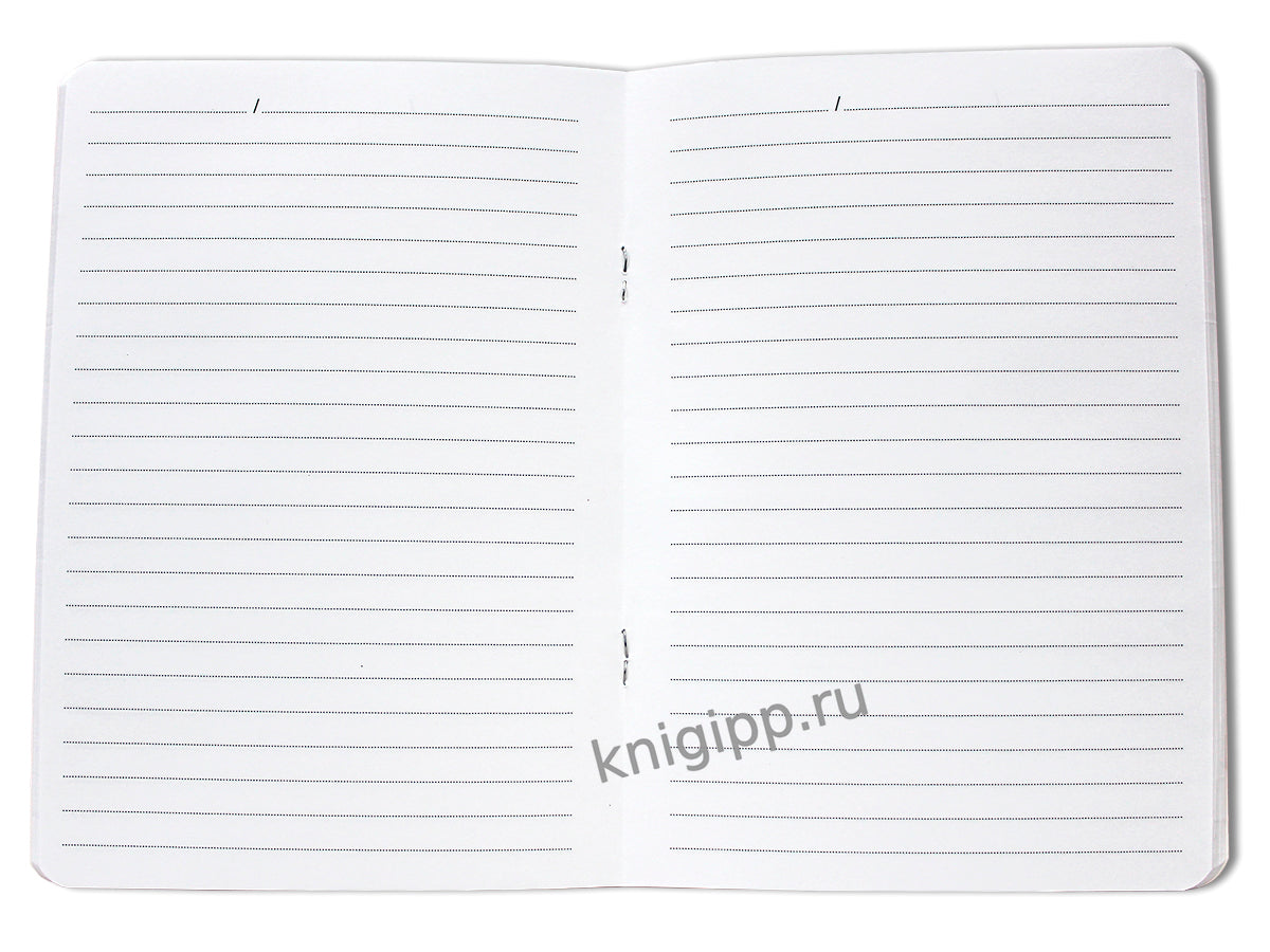 MyArt. БЛОКНОТ в линию В тренде. Капибара