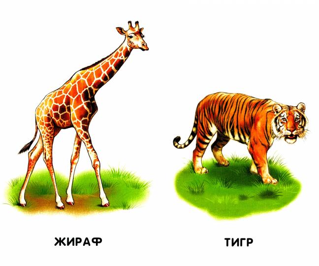 Сиреневые книжки (F) - Прогулка по зоопарку