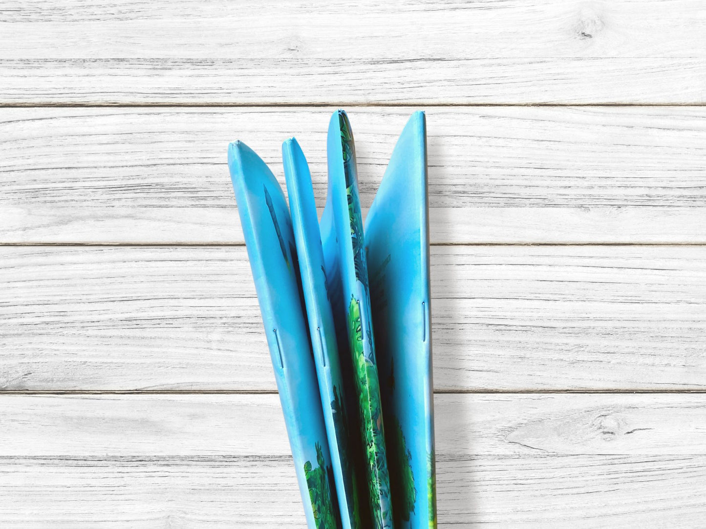 Петсон и Финдус изучают животных (второе издание, исправленное)