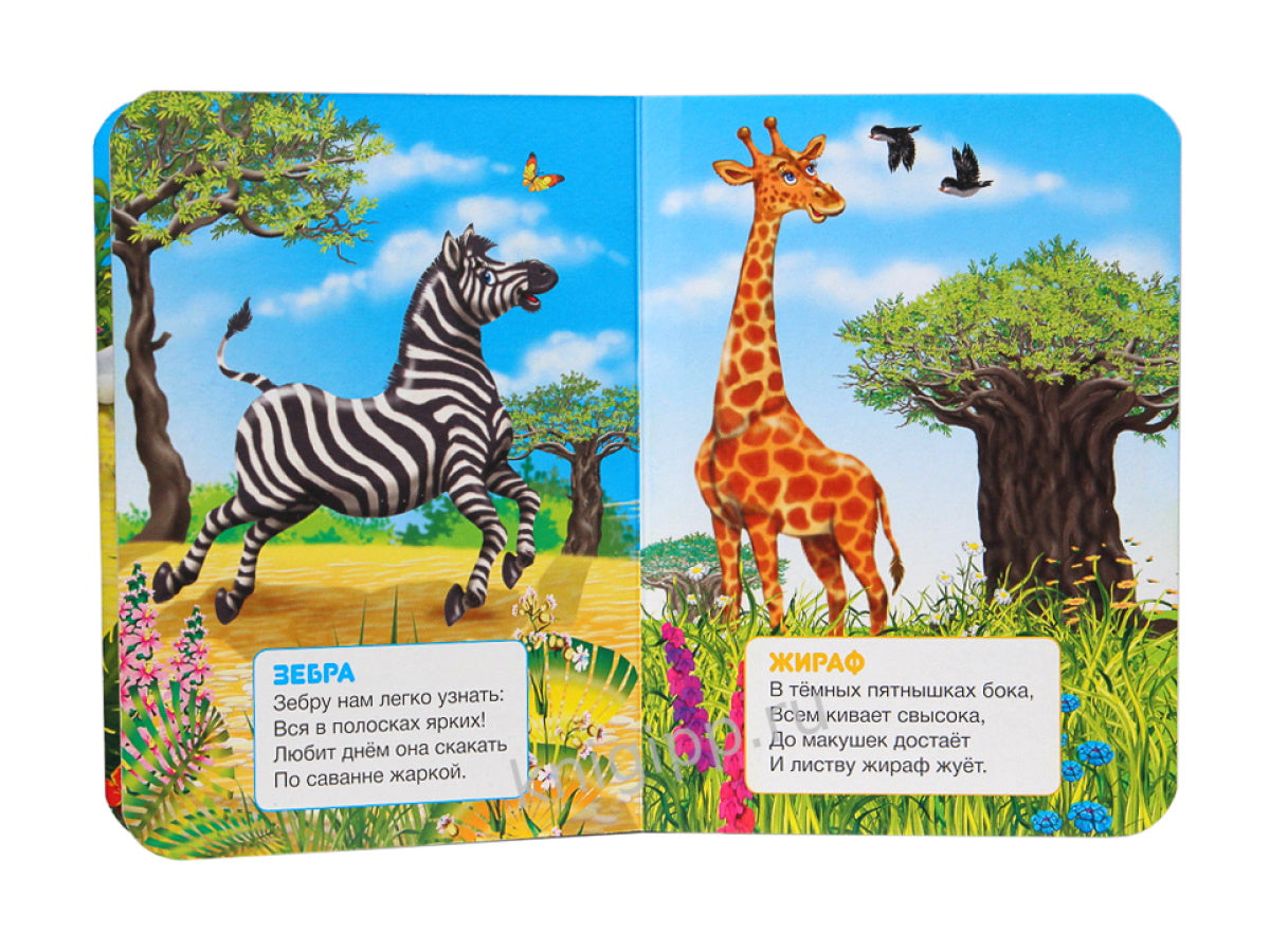 ЦК МИНИ. МИР ЖИВОТНЫХ