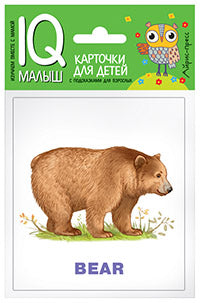 Умный малыш. ENGLISH. Зоопарк Набор карточек для детей.