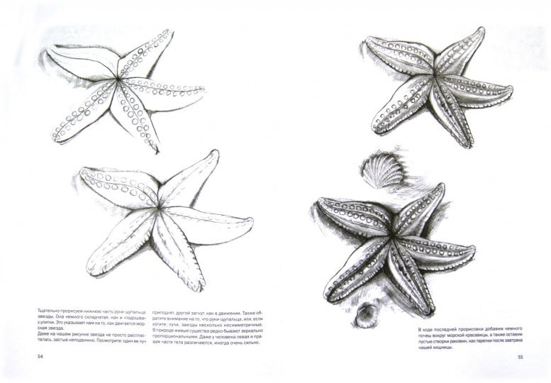 Простые уроки рисования для начинающих