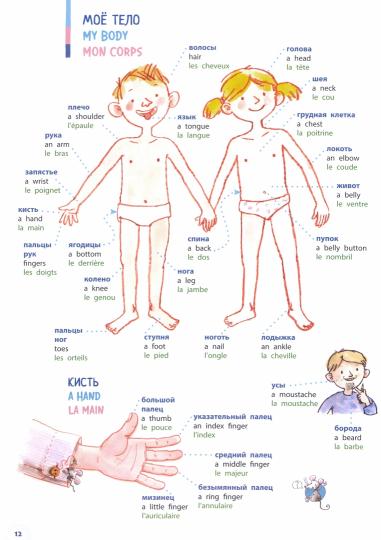 Словарь в картинках.Добро пожаловать в Кукуево!(русск.,англ.,француз.)