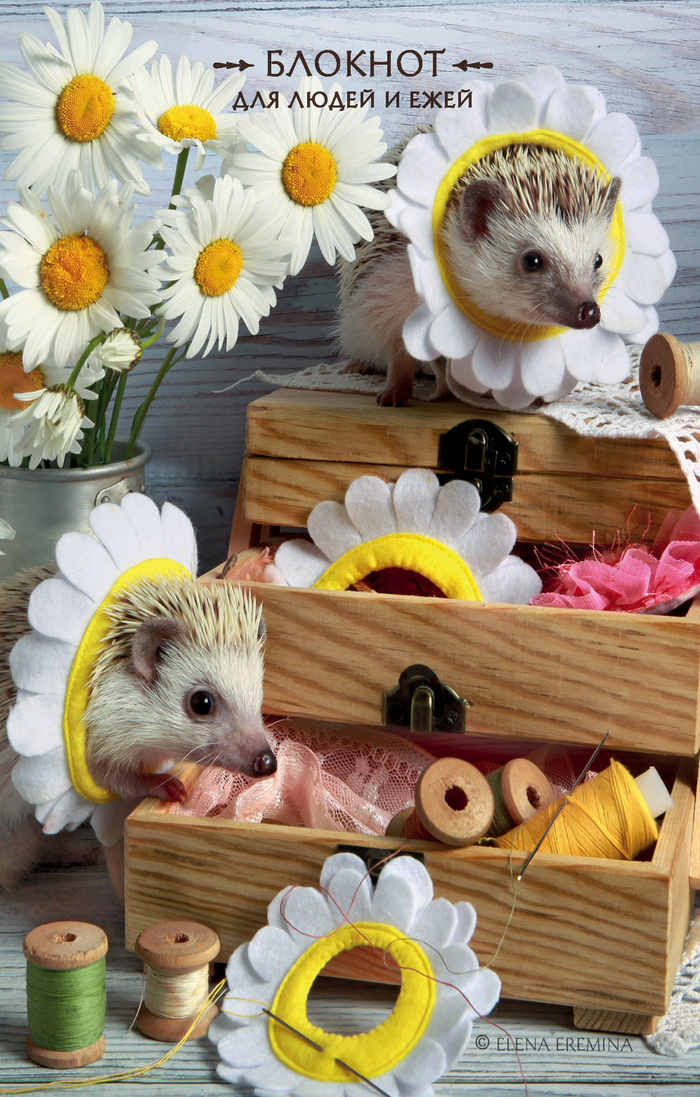 Блокнот для людей и ее (ромашки). 115х180мм, мягкая обложка, 64стр.