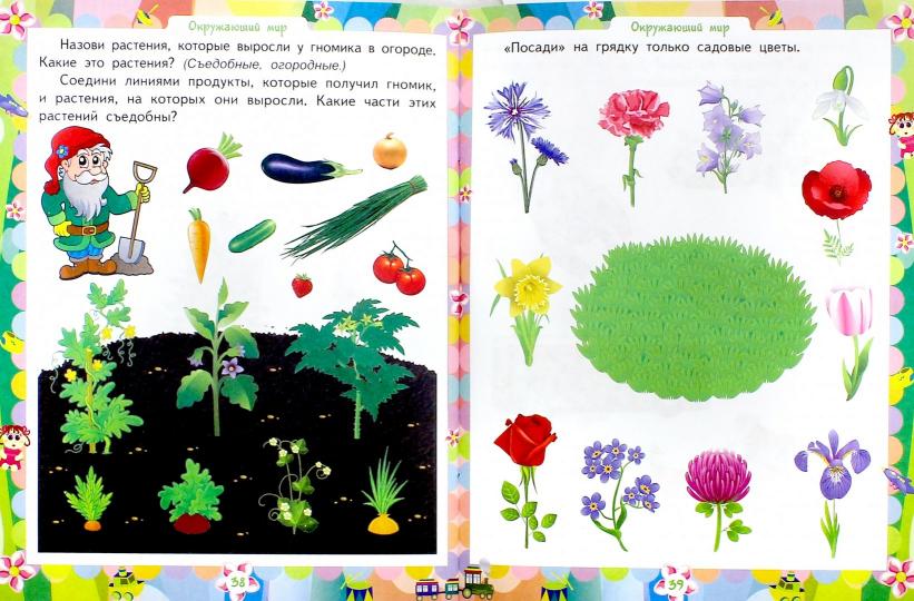 Сборник развивающих заданий для детей 3-4 лет