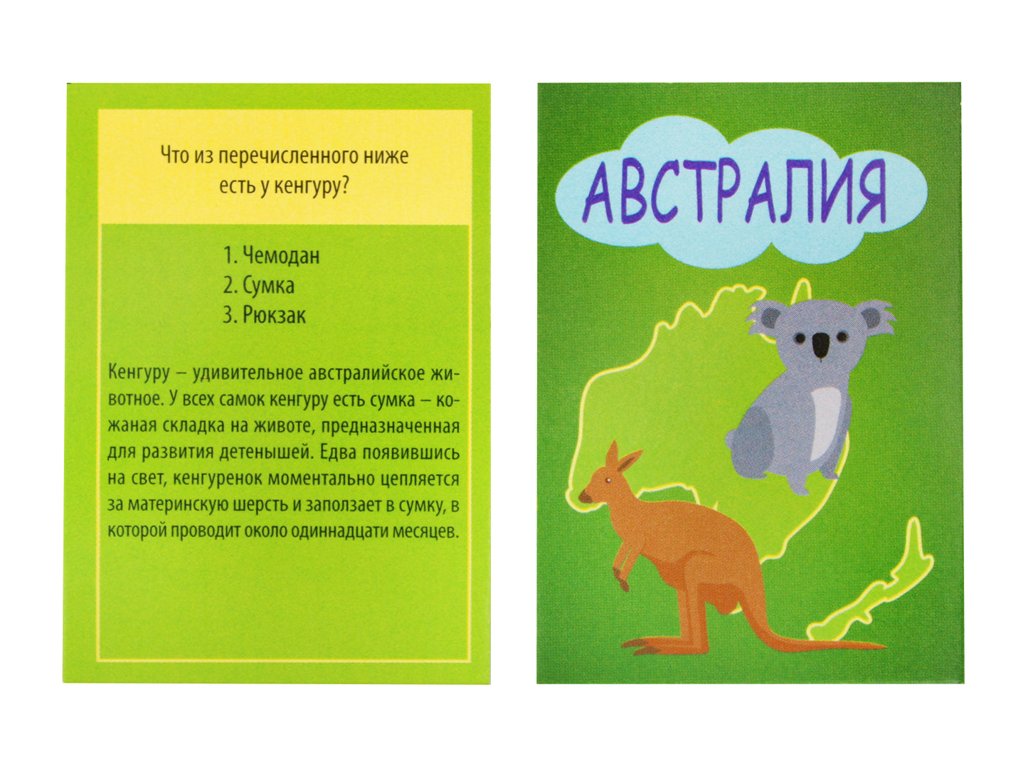 Игра настольная. Викторина для всей семьи "Мир"