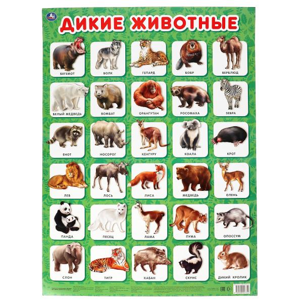 Дикие животные. Плакат А2. Умка уп-10шт в кор.5уп