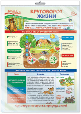 *ПО-13973 ПЛАКАТ А3 В ПАКЕТЕ. Окружающий мир в 3 классе. Круговорот жизни (в индивидуальной упаковке, с европодвесом и клеевым клапаном)