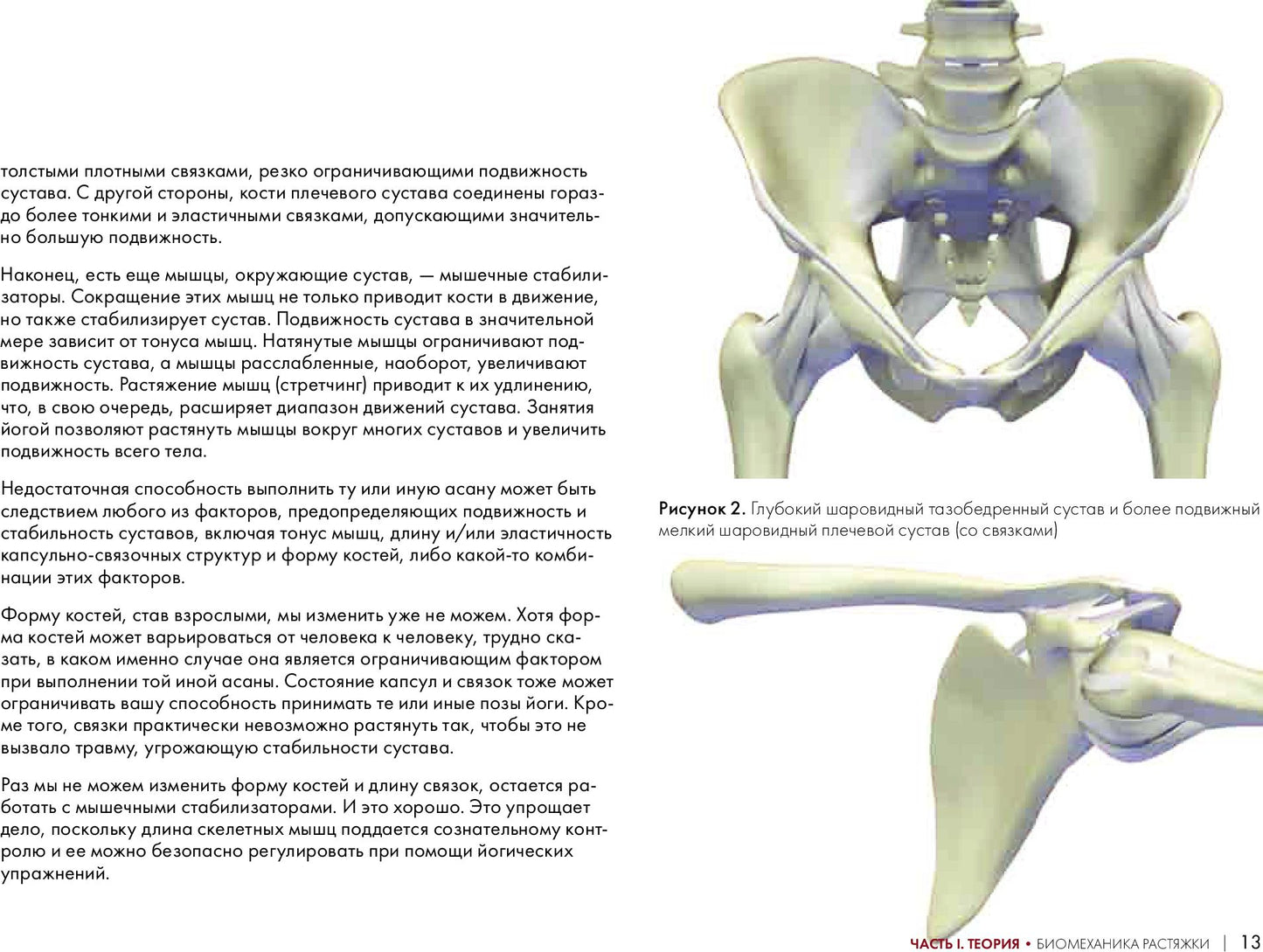 Ключевые позы йоги