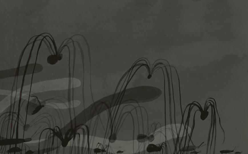 Война Катрин. Графический роман.